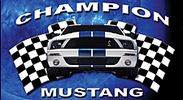 Champion Mustang